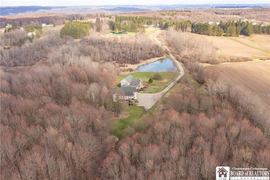 3951 Fluvanna Townline Road Ellery, NY 14701 - Photo 6 of 49