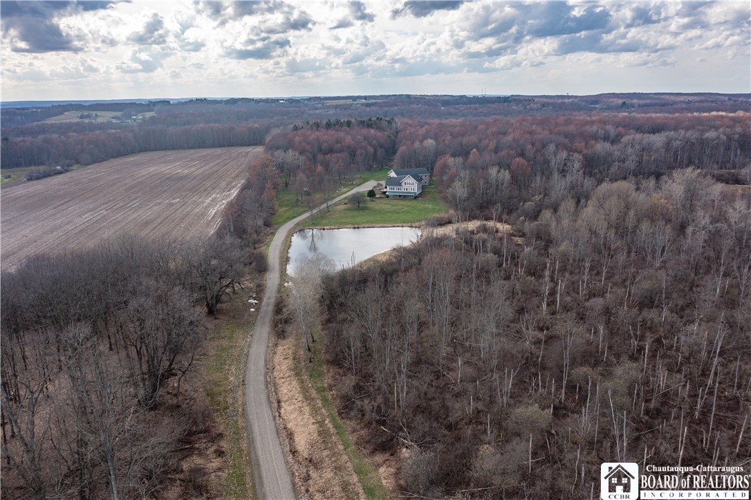 3951 Fluvanna Townline Road Ellery, NY 14701 - Photo 7 of 49