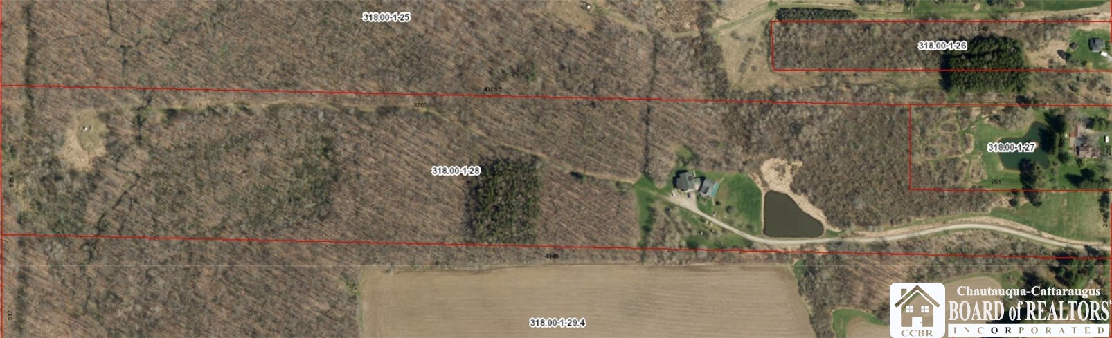 3951 Fluvanna Townline Road Ellery, NY 14701 - Photo 8 of 49