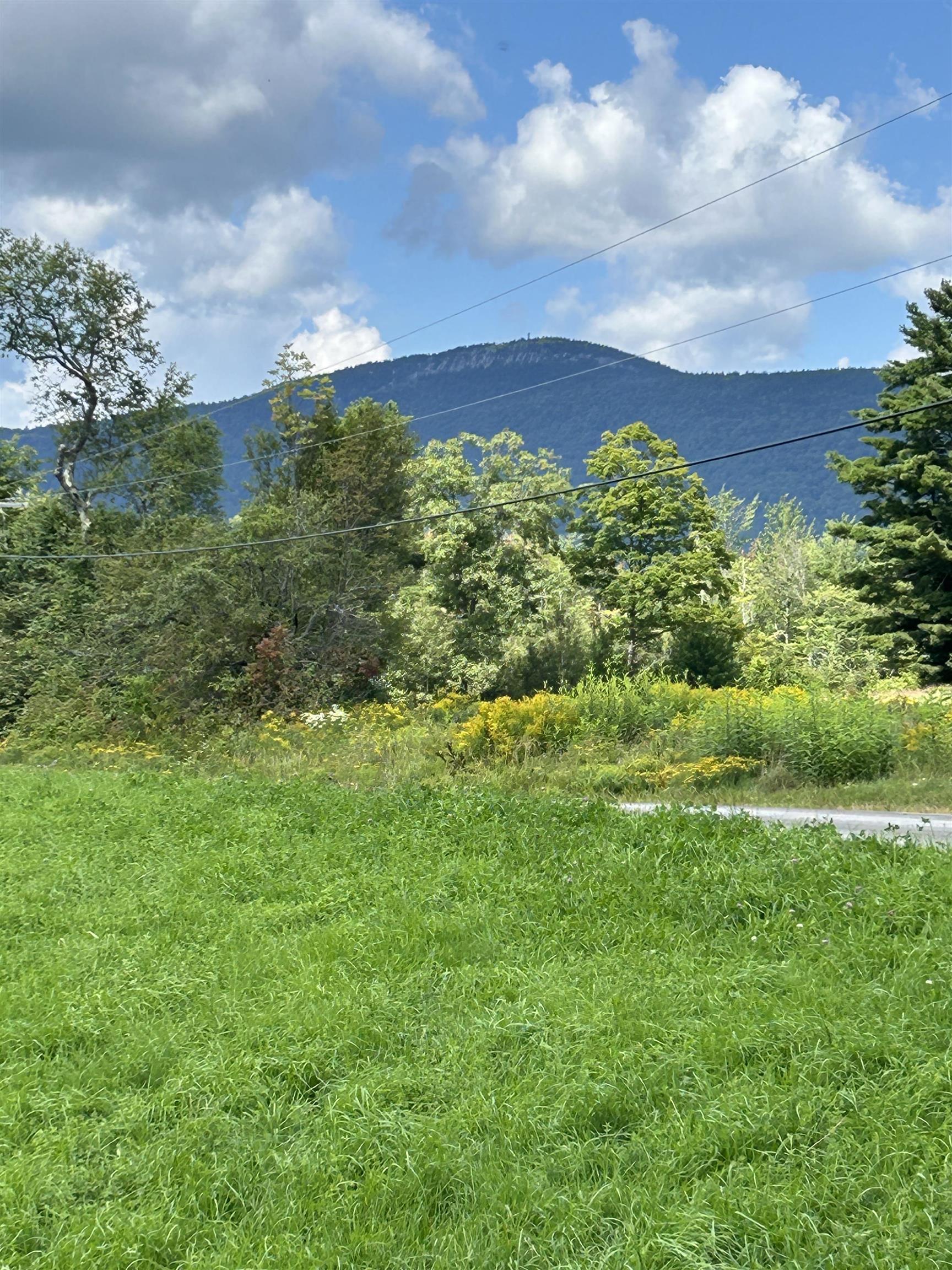 0 Loverin Hill Road Croydon, NH 03773 - Photo 3 of 7