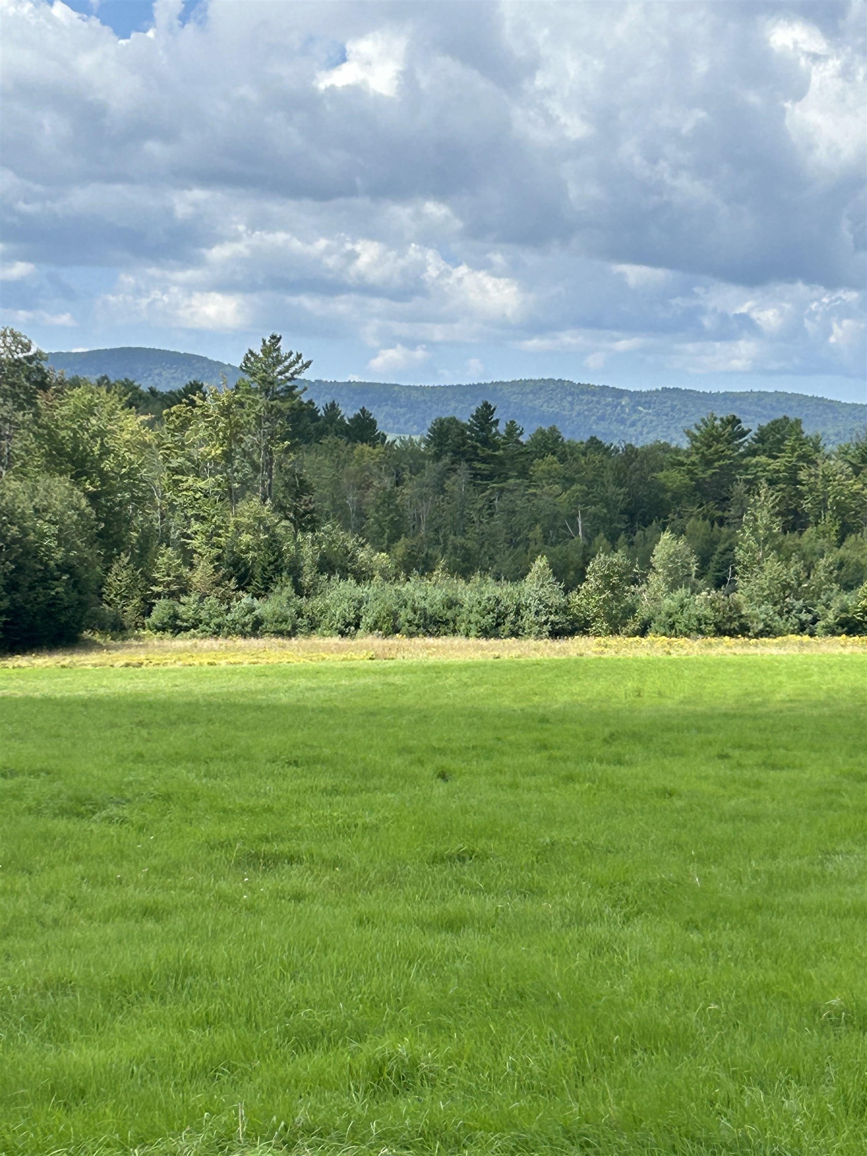 0 Loverin Hill Road Croydon, NH 03773 - Photo 4 of 7