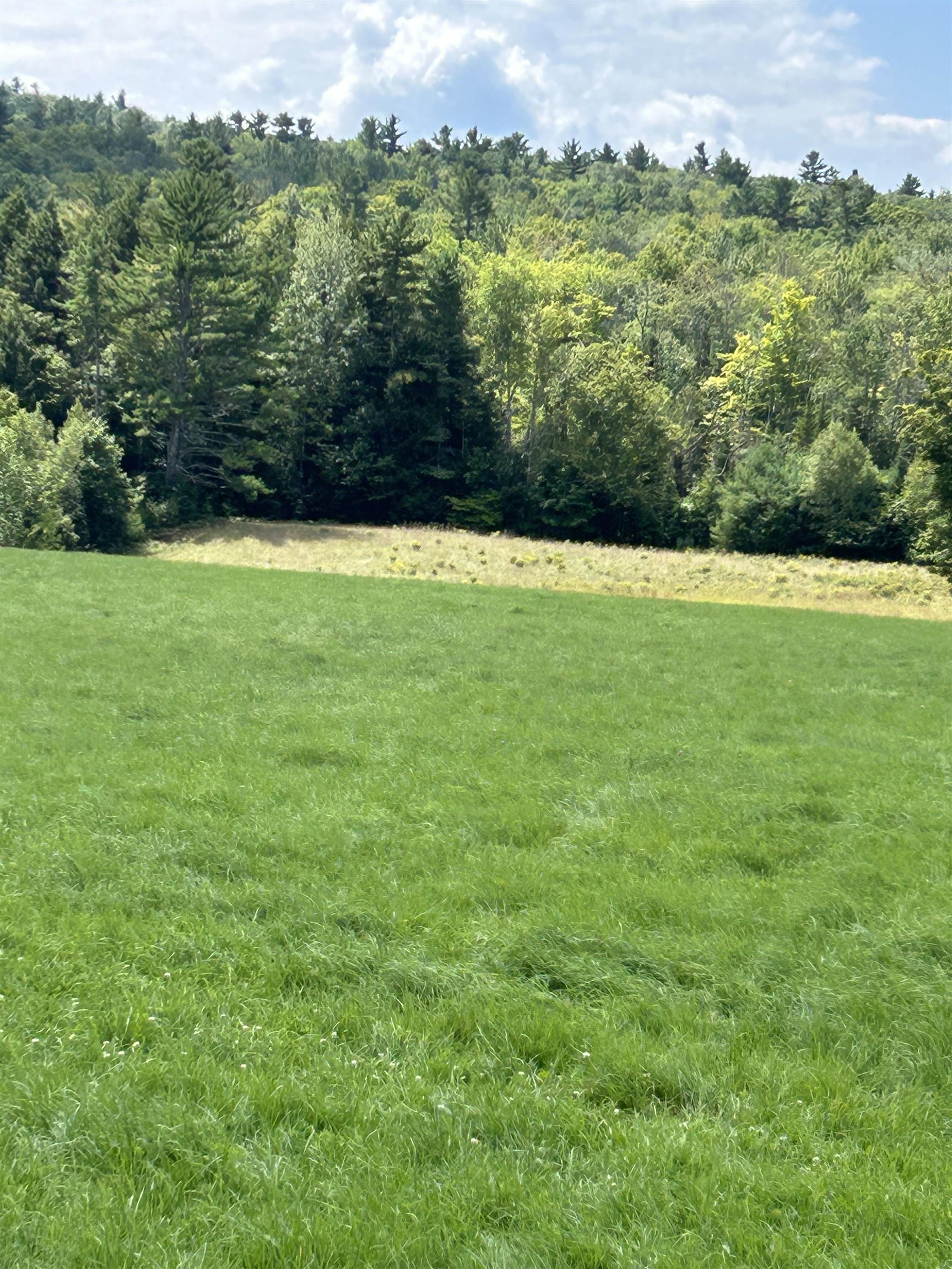 0 Loverin Hill Road Croydon, NH 03773 - Photo 5 of 7