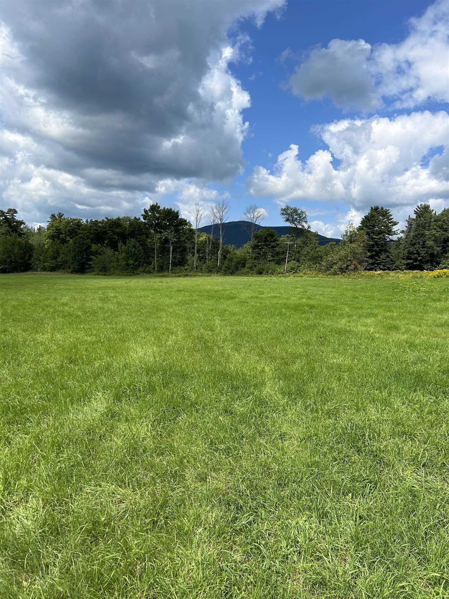 0 Loverin Hill Road Croydon, NH 03773 - Photo 6 of 7