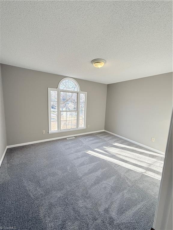 519 Salem Ridge Drive Randleman, NC 27317 - Photo 25 of 29