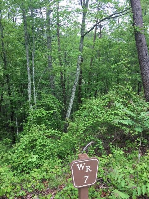 River Birch Way Sevierville, TN 37862 - Photo 1 of 2 IMG_9084.JPGTracieslot