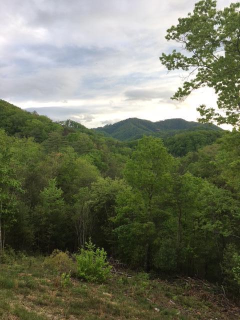 River Birch Way Sevierville, TN 37862 - Photo 2 of 2 IMG_9086.JPGTracieslot