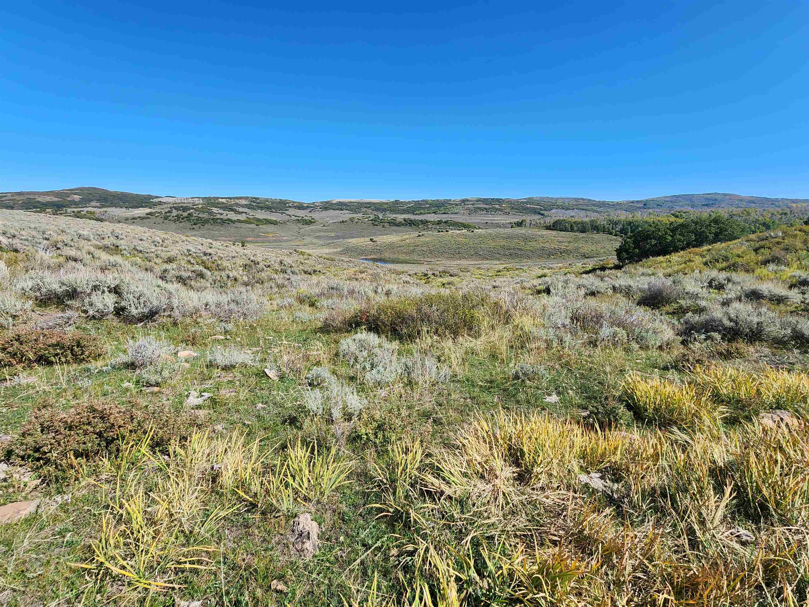 Tbd Divide Road, Unit MONT'S DRAW Whitewater, CO 81527 - Photo 3 of 7 a view of ocean view with beach