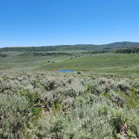 a view of a field with an ocean