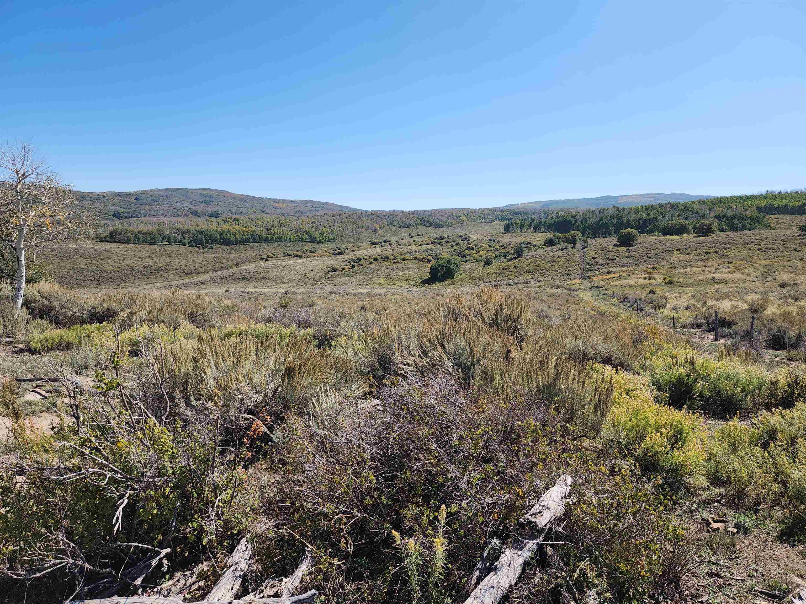 Tbd Divide Road, Unit MONT'S DRAW Whitewater, CO 81527 - Photo 5 of 7 a view of a large body of water with lots of bushes