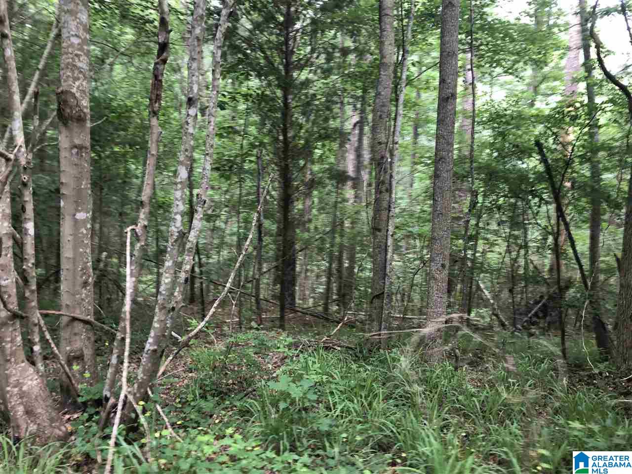 0 Maple Crest Lane Hayden, AL 35079 - Photo 18 of 30