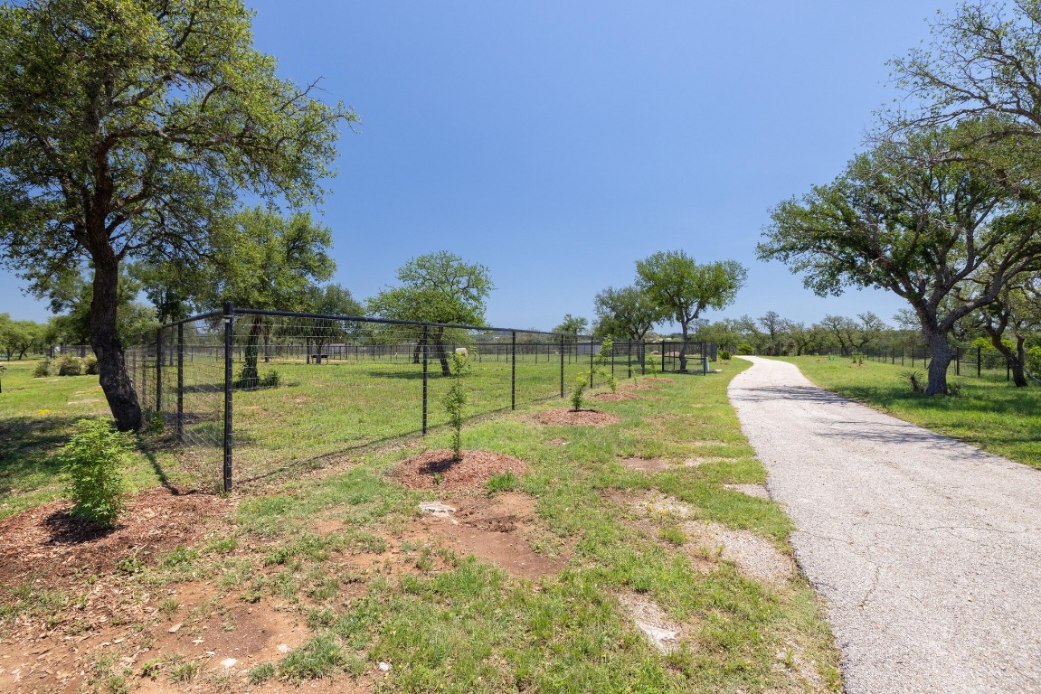 3307 Sunset Cliff Road Burnet, TX 78611 - Photo 19 of 23 a view of a park with a tree