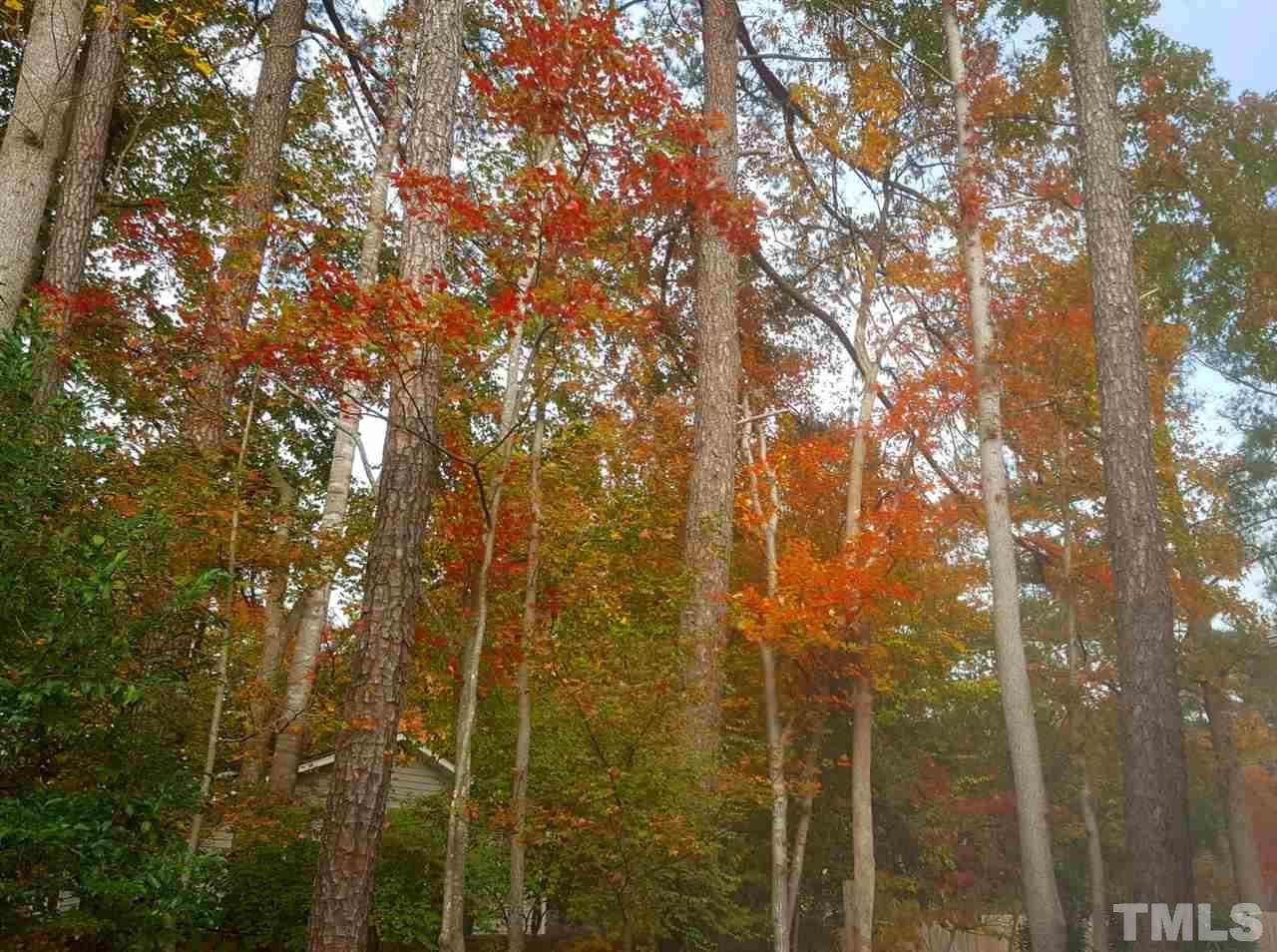 6423 Rosny Road Raleigh, NC 27613 - Photo 28 of 29