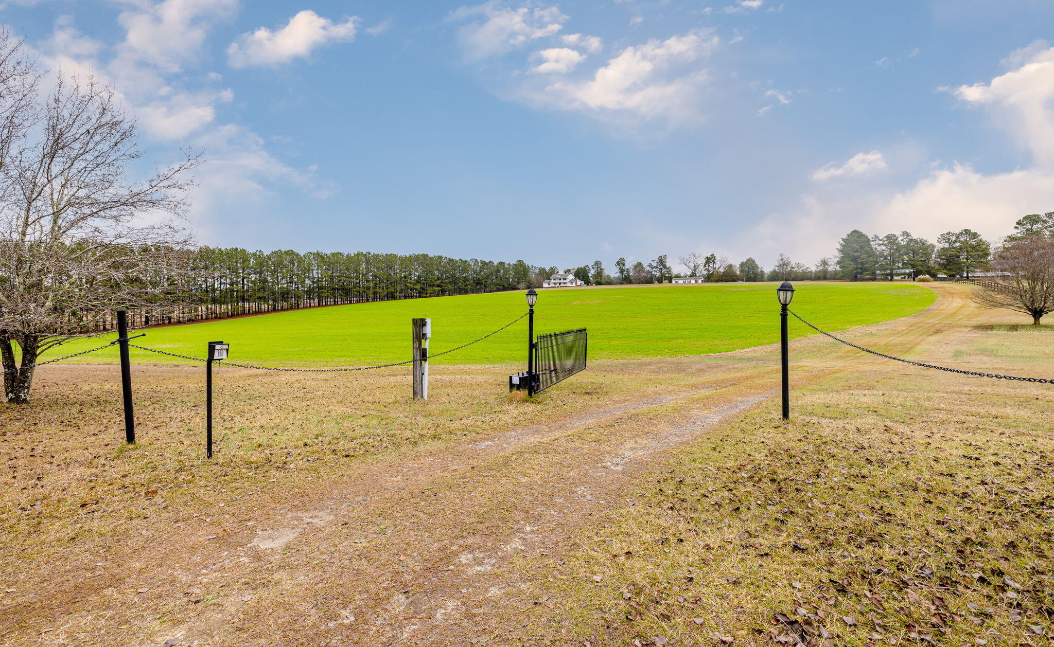 2061 Gray Mare Hollow Road Aiken, SC 29803 - Photo 74 of 82