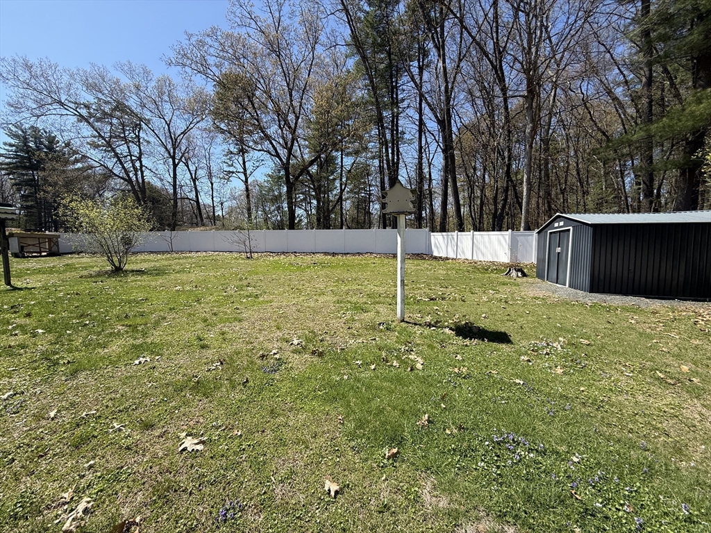 288 Buck Pond Road Westfield, MA 01085 - Photo 28 of 38 a view of backyard with tree
