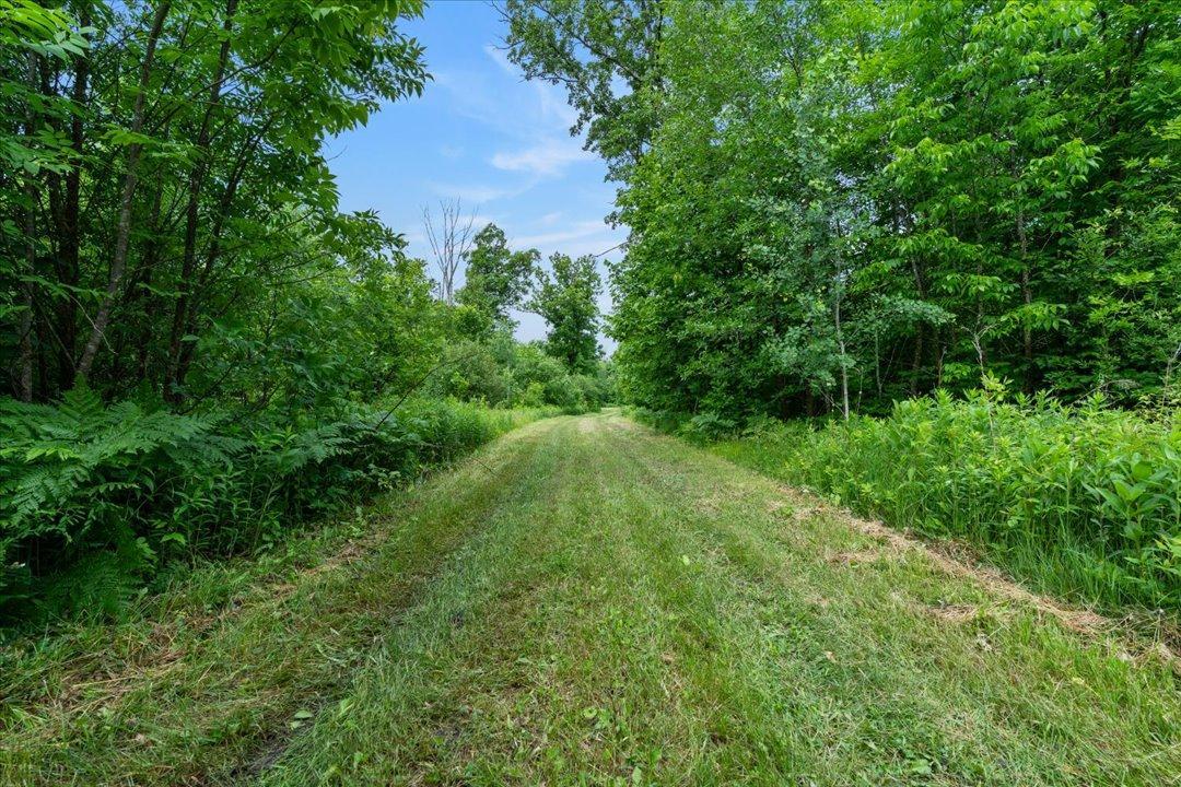 4608 Highway 371 Hackensack, MN 56452 - Photo 41 of 71