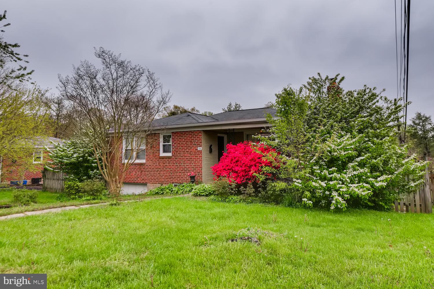 1931 Beverly Road Baltimore, MD 21228 - Photo 24 of 25 Colorful Trees