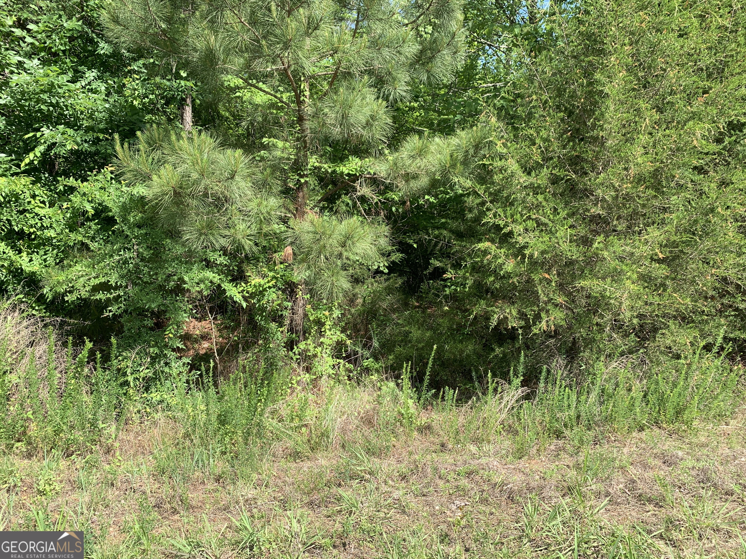 1208 Hornets Bridge Road Elberton, GA 30635 - Photo 7 of 10