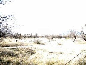 13545 South Bell Road Benson, AZ 85602 - Photo 8 of 9