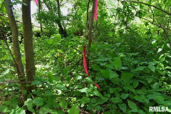 $47,000 | 2 Robinson Hill Road, Stonefort, IL 62987