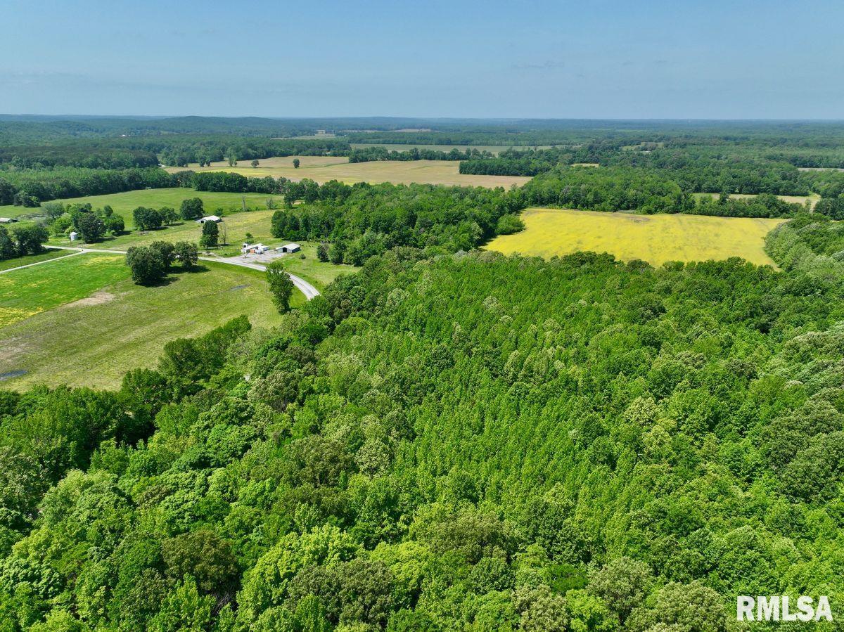 2 Robinson Hill Road Stonefort, IL 62987 - Photo 12 of 23