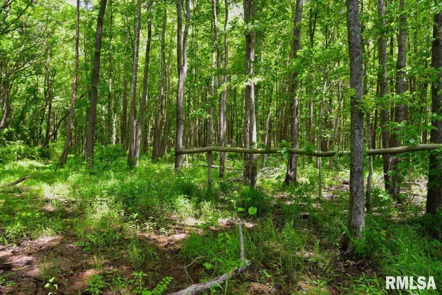 $50,661 | 2 Robinson Hill Road, Stonefort, IL 62987