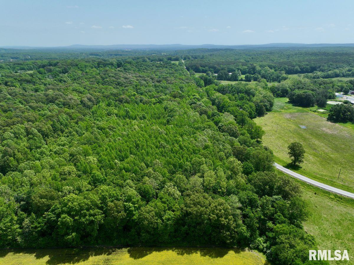 2 Robinson Hill Road Stonefort, IL 62987 - Photo 16 of 23