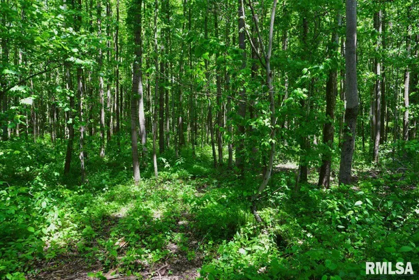 $47,000 | 2 Robinson Hill Road, Stonefort, IL 62987