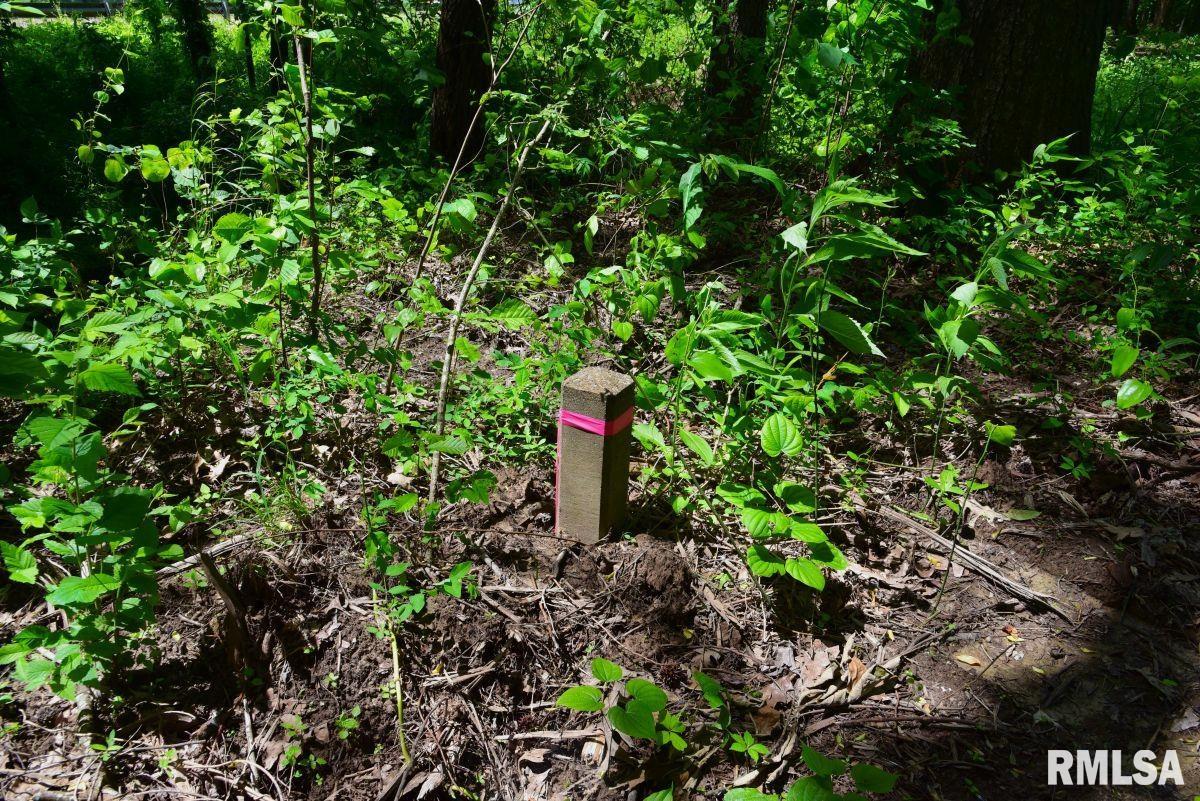 2 Robinson Hill Road Stonefort, IL 62987 - Photo 18 of 23