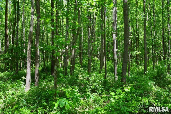 $47,000 | 2 Robinson Hill Road, Stonefort, IL 62987