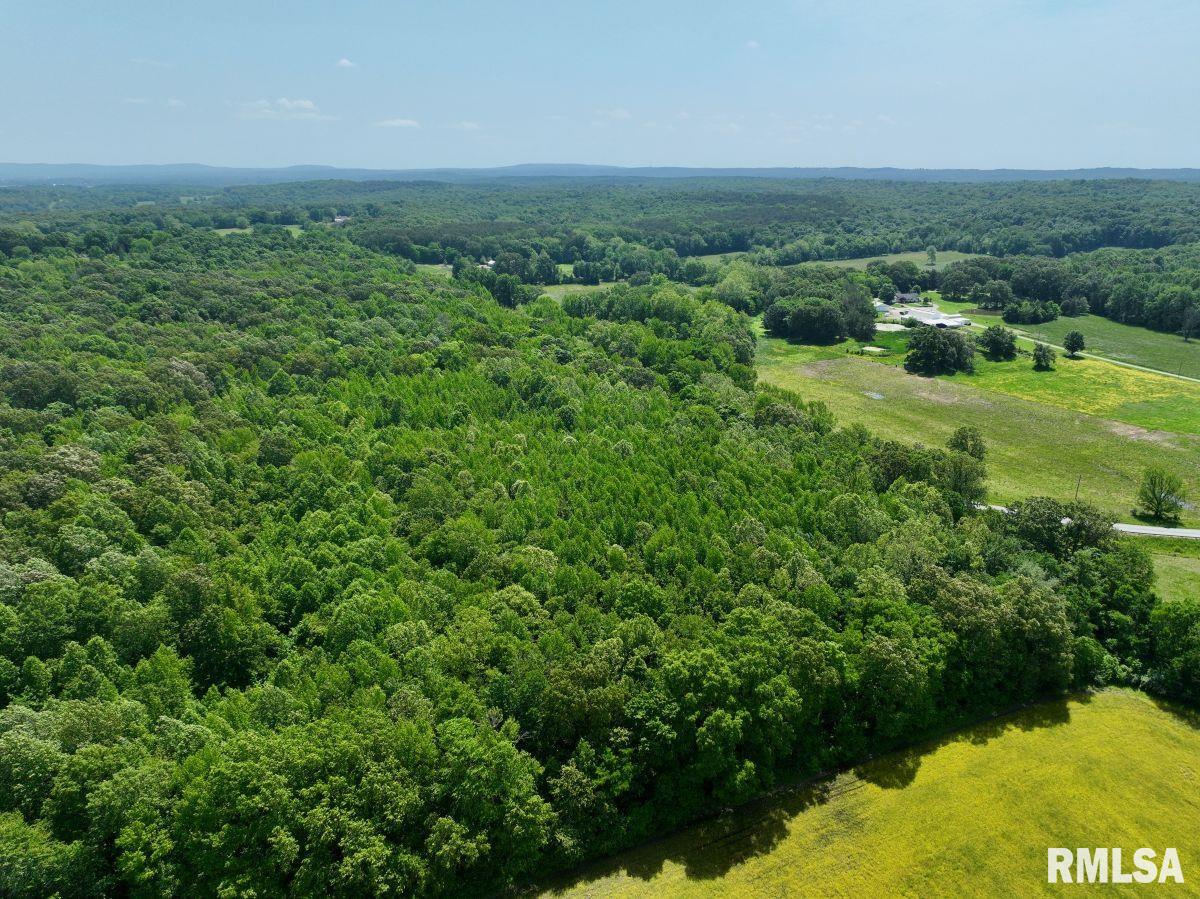 2 Robinson Hill Road Stonefort, IL 62987 - Photo 20 of 23