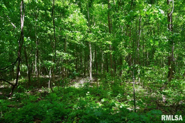 $47,000 | 2 Robinson Hill Road, Stonefort, IL 62987