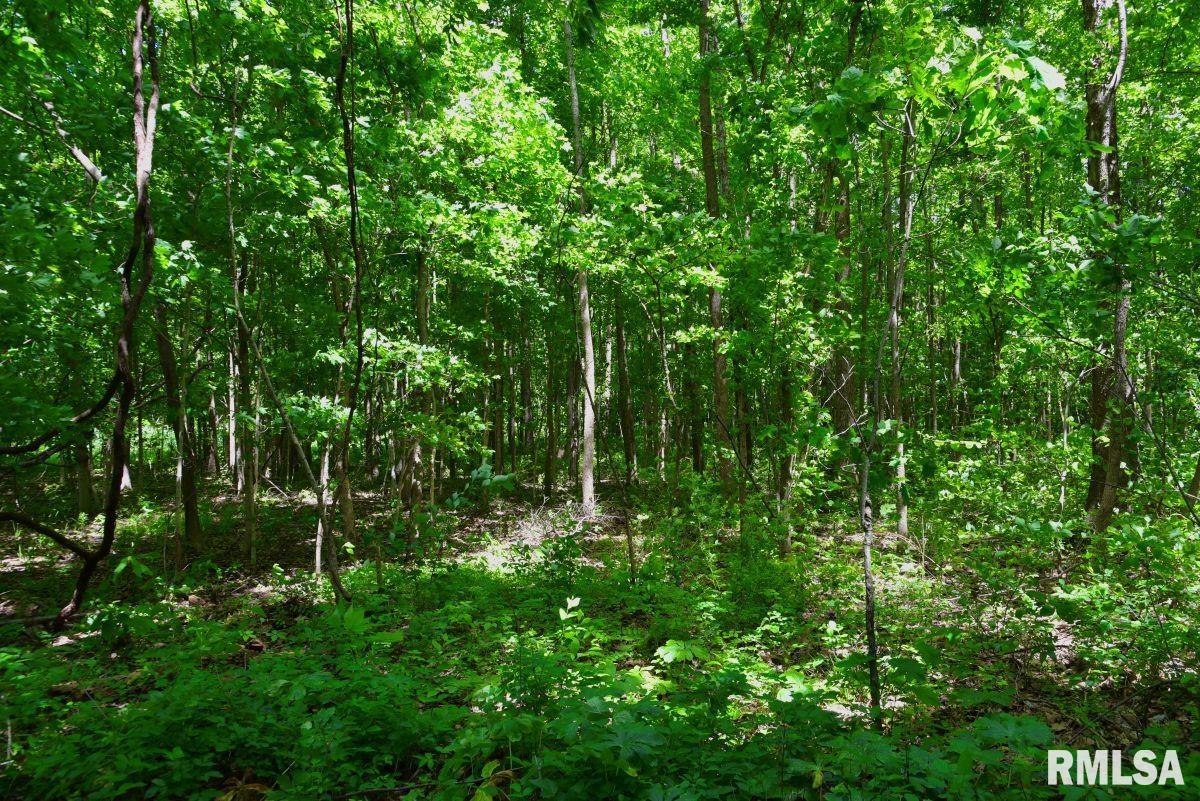 2 Robinson Hill Road Stonefort, IL 62987 - Photo 21 of 23