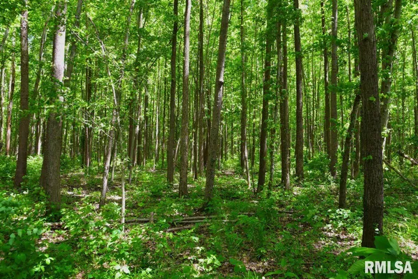 $47,000 | 2 Robinson Hill Road, Stonefort, IL 62987