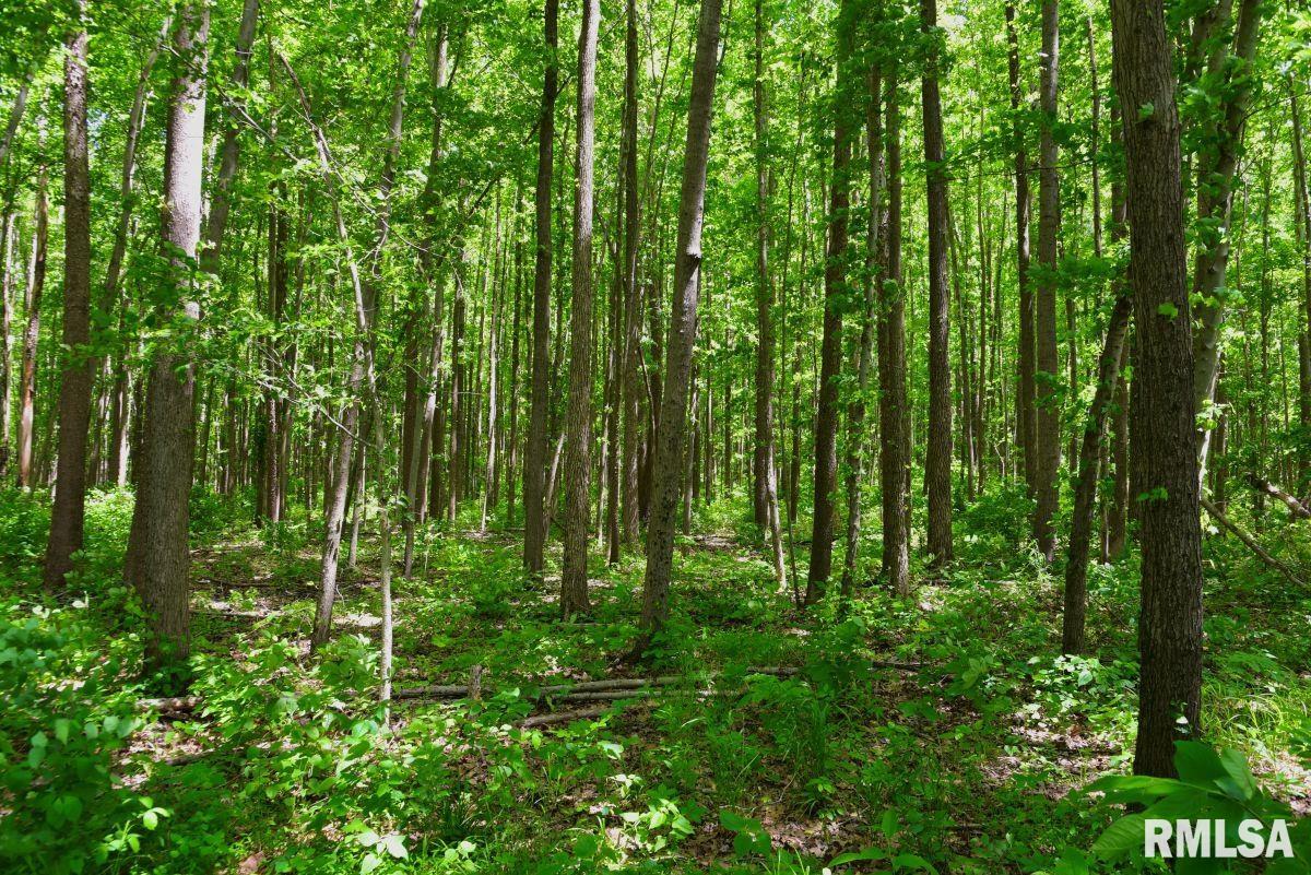 2 Robinson Hill Road Stonefort, IL 62987 - Photo 22 of 23