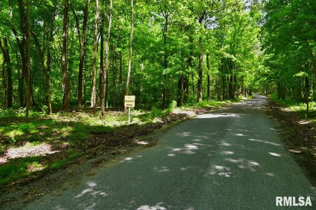 $50,661 | 2 Robinson Hill Road, Stonefort, IL 62987