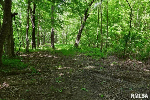 $47,000 | 2 Robinson Hill Road, Stonefort, IL 62987