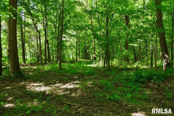 $47,000 | 2 Robinson Hill Road, Stonefort, IL 62987