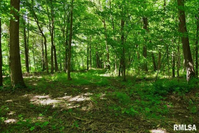 $50,661 | 2 Robinson Hill Road, Stonefort, IL 62987