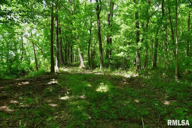 $50,661 | 2 Robinson Hill Road, Stonefort, IL 62987