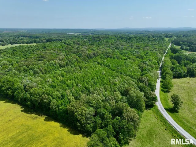 $50,661 | 2 Robinson Hill Road, Stonefort, IL 62987