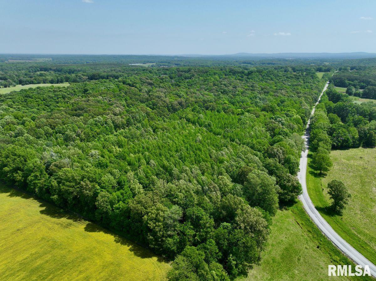 2 Robinson Hill Road Stonefort, IL 62987 - Photo 7 of 23