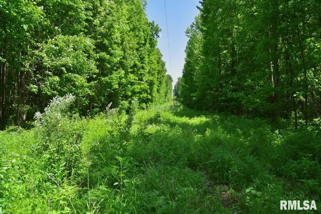 $50,661 | 2 Robinson Hill Road, Stonefort, IL 62987