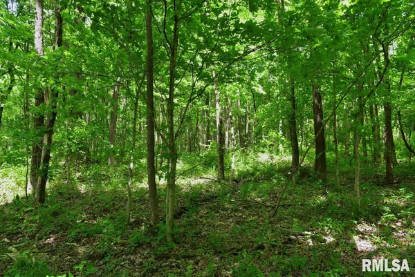 $47,000 | 2 Robinson Hill Road, Stonefort, IL 62987