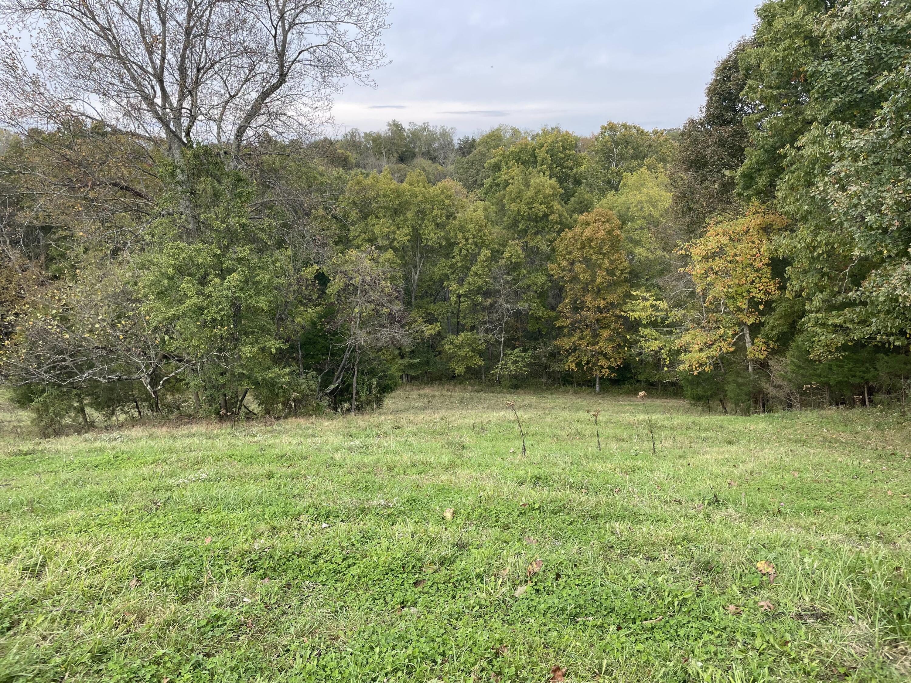10818 Elizaville Road Ewing, KY 41039 - Photo 29 of 56 913F245B-439E-48A7-BF06-8CA3863BF82F
