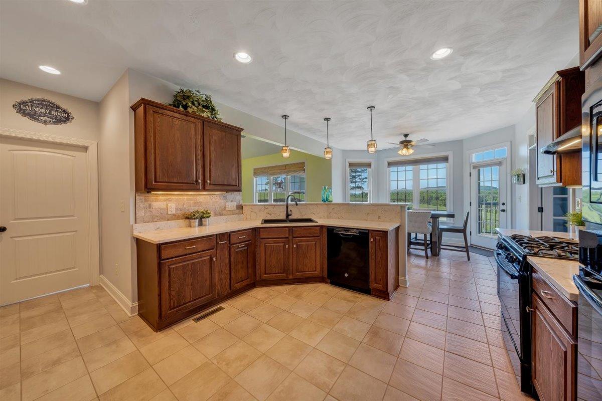 633 Thornblade Way Blue Ridge, VA 24064 - Photo 27 of 70 09-Rapid Imagery-37