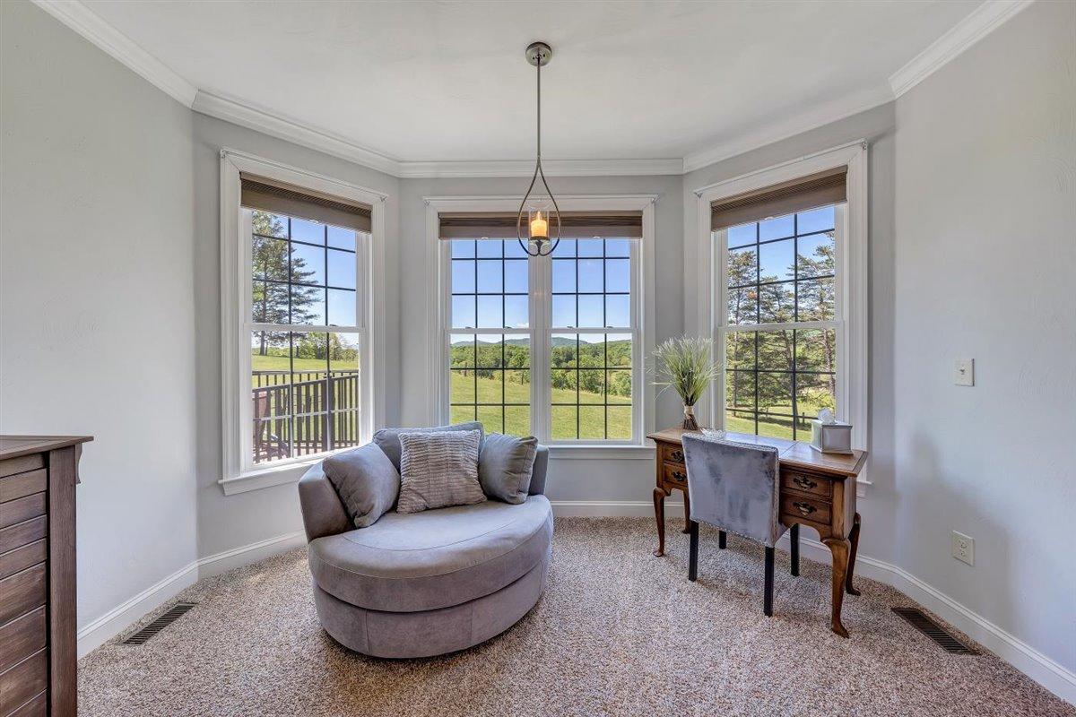 633 Thornblade Way Blue Ridge, VA 24064 - Photo 41 of 70 30-Rapid Imagery-25