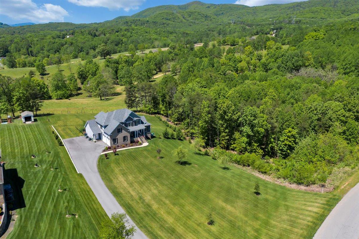 633 Thornblade Way Blue Ridge, VA 24064 - Photo 6 of 70 54-Rapid Imagery-61