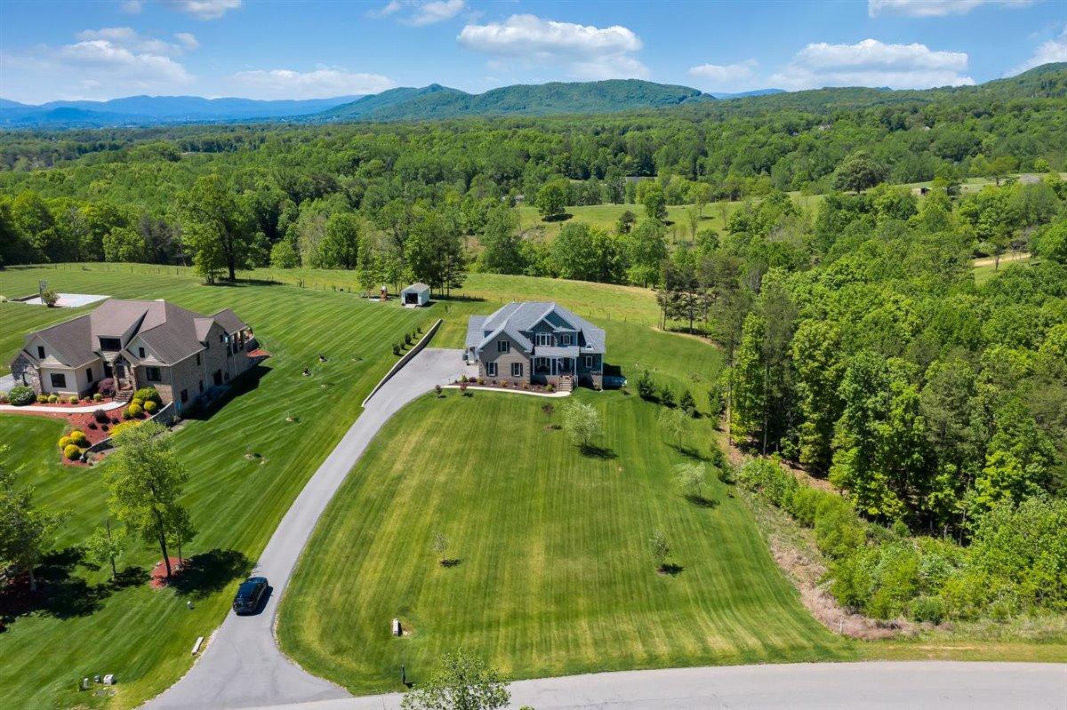 633 Thornblade Way Blue Ridge, VA 24064 - Photo 7 of 70 55-Rapid Imagery-62