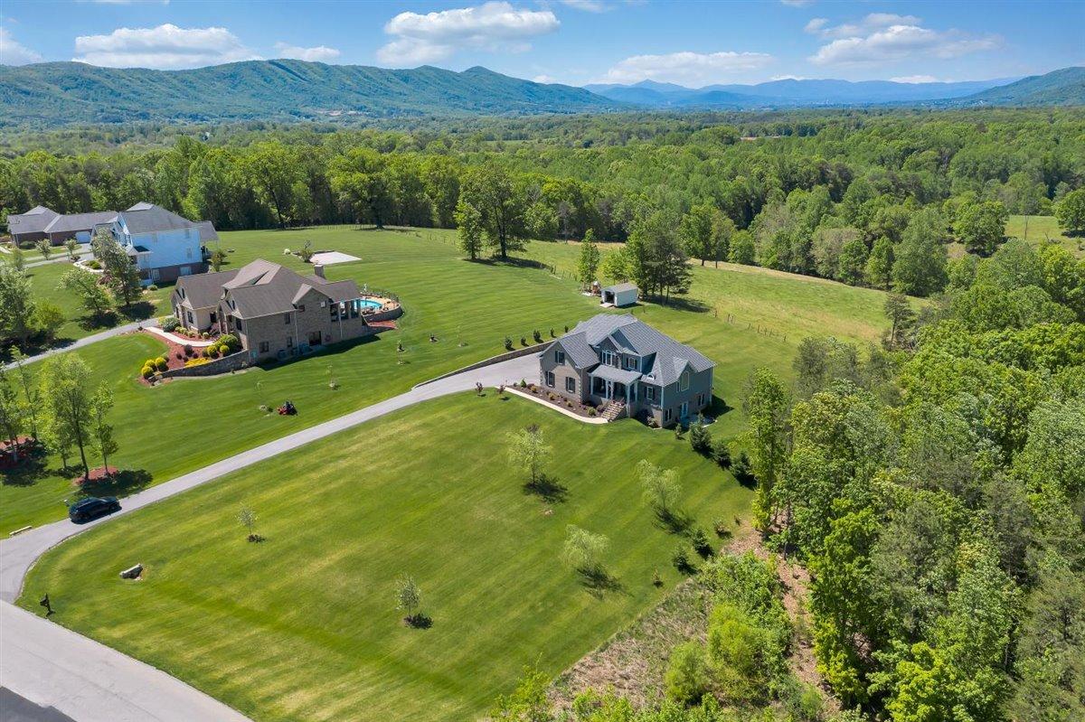 633 Thornblade Way Blue Ridge, VA 24064 - Photo 8 of 70 56-Rapid Imagery-63