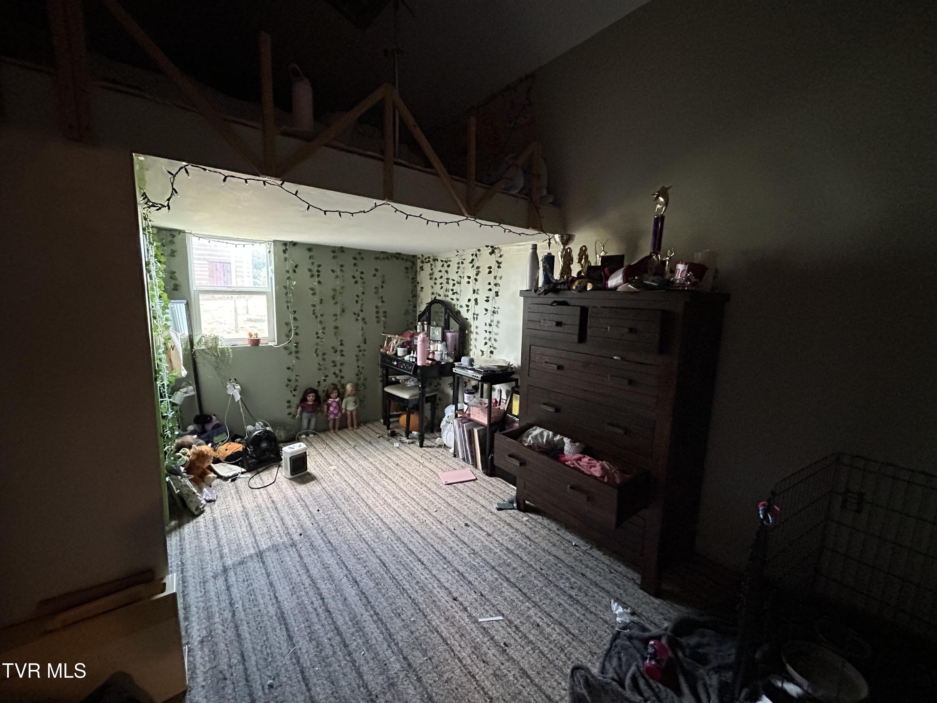 479 Pigeon Creek Road Greeneville, TN 37743 - Photo 21 of 32 IMG_3628